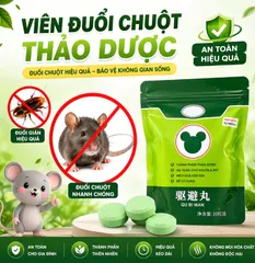 (ComBo 5 gói ) 10 Viên Đuổi Chuột Thảo Mộc Dạng Nén Xua Chuột, Côn Trùng An Toàn Thú Cưng Dùng Cho Nhà Kho Bếp Gara, Ô Tô -