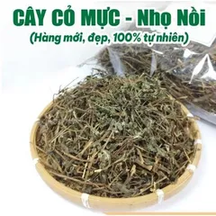 Cây Cỏ Mực, Nhọ Nồi 1kg tươi hoặc khô, làm đen tóc, kích thích mọc tóc, chống rụng tóc, mát gan, kháng khuẩn