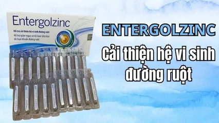 Men Tiêu Hóa Entergolzinc Beatexpharm (H/20o/10ml)