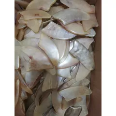 Dụng cụ cạo gió sừng tự nhiên