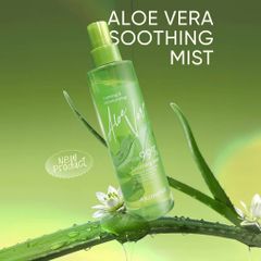 Xịt Khoáng ARUMORE Chiết Xuất Lô Hội Aloe Vera Cấp Ẩm Làm Dịu Da 200ML [hàng nhập khẩu]