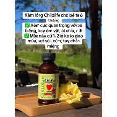 Kẽm ChildLife Zinc Plus nội địa Mỹ 118ml dạng lỏng cho bé 6 tháng tuổi 802934