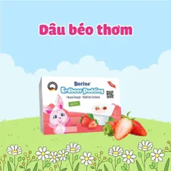 [DATE 12/2026] Pudding Burine vỉ 6 hộp x 50g vị Vani/Chuối/Dâu cho bé từ 6m+