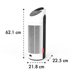 Máy lọc không khí BONECO P300