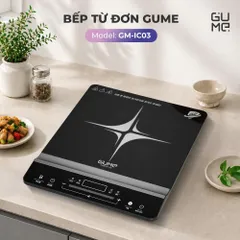Bếp Từ Đơn Gume GM - IC03