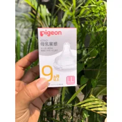 {Chính Hãng} Núm pigeon Nhật Bản