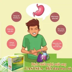 GÓI UỐNG MẬT ONG NGHỆ HỖ TRỢ DẠ DÀY GASTSEA (hộp 20 gói x 15g)