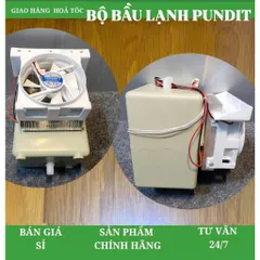 Bộ bầu lạnh dùng chíp thay thế cho máy lọc nước nóng lạnh dùng chip các hãng. (New 100%)