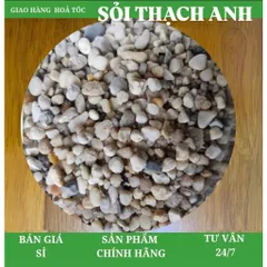 1kg sỏi đỡ dùng cho lọc nước và trang trí bể cá. sỏi thạch anh.