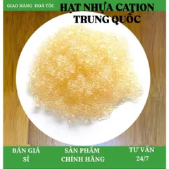 Hạt Cation làm mềm nước (Hạt nhựa Extrepure) 805321