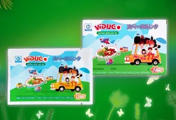 Miếng Dán Say Tàu Xe Vidugo - Lốc 10 Hộp (20 miếng) 
