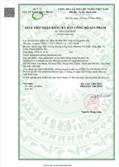 TPBVSK Đông Trùng Ích Phế Hỗ Trợ Giảm Ho Bổ Phế 