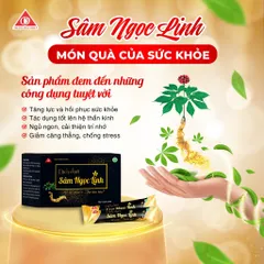 ✅[CHÍNH HÃNG] (MÃ: DP356712) Dịch chiết Sâm Ngọc Linh