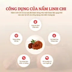 KGS Gold Nước Hồng Sâm 6 Tuổi Linh Chi Hàn Quốc Tăng Đề Kháng Hộp 30 Gói x 50ml Hỗ Trợ Nâng Cao Sức Đề Kháng