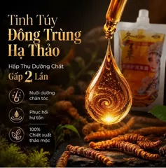 Dầu gội kiểm soát dầu Cordyceps | Dầu gội dưỡng tóc và làm đen tóc | Dầu gội dưỡng tóc sạch da đầu thơm lâu