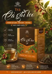 hỗ trợ thải độc mát gan trà cà gai leo hộp 30 gói hàng chính hãng