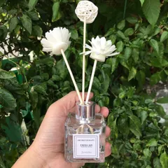 Set Tinh dầu Josmine khuếch tán hương hoa Xua tan căng thẳng 807884