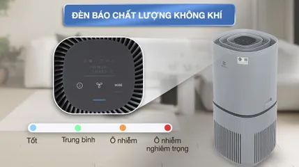 Máy lọc không khí Electrolux EP53-46UGA