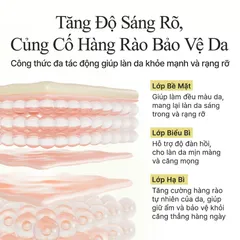 Kem Dưỡng Arencia Vitamin C Booster Shot Cream 30ml – Sáng Da, Hỗ Trợ Mờ Thâm, Cấp Ẩm Cho Da