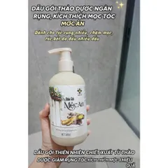 [ MUA 1 TẶNG 1] Dầu Gội MỘC AN Thành Phần Từ Thiên Nhiên Nhân Sâm + Gừng + Bồ Kết Chai 300ml