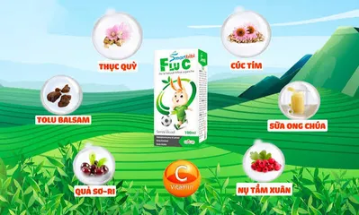 Combo Smartbibi ZinC và Smartbibi Flu C TPBVSK Giúp Bé Ăn Ngon Hỗ Trợ Tăng Đề Kháng Phòng Cảm Lạnh, Cảm Cúm