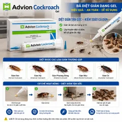 Advion®Cockroach 30g Syngenta Cao Cấp – Gel Bả Diệt Gián Đức, Gián Mỹ Hiệu Quả Và Một Số Loại Gián Khác