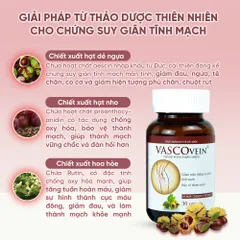 Viên Uống Hỗ Trợ Cải Thiện Bệnh Suy Giãn Tĩnh Mạch Vascovein Hộp 30 viên
