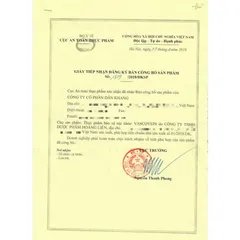 Viên Uống Hỗ Trợ Cải Thiện Bệnh Suy Giãn Tĩnh Mạch Vascovein Hộp 30 viên
