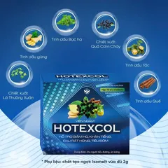 viêm ngậm thanh họng HOTEXCOL (hộp 10 vĩ/ 4 viên)