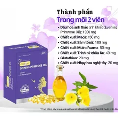 Dầu hoa Anh Thảo GLAMOUR Evening Primrose Oil Traphaco CNC - Hộp 30 viên
