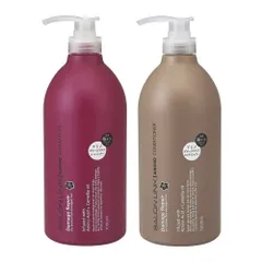 Bộ Dầu Gội, Xả Hoa Trà Phục Hồi Tóc Hư Tổn Salon Link Salonlink Damage & Repair 1000ml [hàng nhập khẩu]