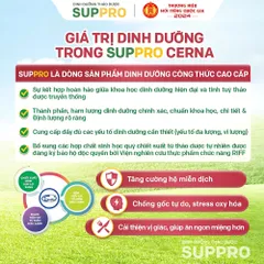 Suppro Cerna Cysina Pharma Hộp 12 Gói Thêm Đông Trùng Hạ Thảo Cho Người Tiểu Đường