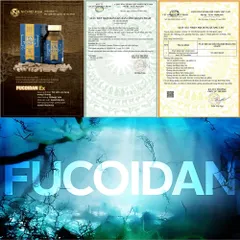Ex Fucoidan Hộp 150 Viên Cải Thiện Nâng Cao Sức Đề Kháng - Nhập Khẩu Chính Hãng Nhật Bản