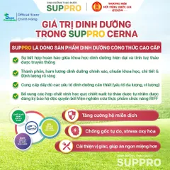 Suppro Cerna Cysina Pharma Hộp 12 Gói Thêm Đông Trùng Hạ Thảo Cho Người Tiểu Đường