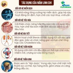 [Xuất kèm VAT] TIÊN THẢO CHI VINACACAO - Thùng 30 Hộp – KẾT HỢP CACAO, NHÂN SÂM & LINH CHI