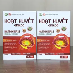 Hoạt Huyết GINKGO - Hỗ trợ hoạt huyết, tăng tuần hoàn máu não