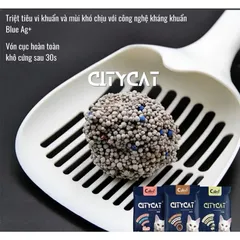 Cát vệ sinh cho Mèo CITYCAT 8L - Siêu vón khử mùi giá rẻ