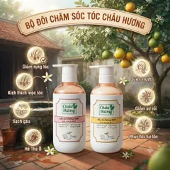 Dầu Gội Hương Bưởi Châu Hương 500ml -Làm Sạch,Phục Hồi Hư Tổn,Ngừa gãy rụng,Dưỡng tóc và Da Đầu