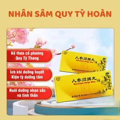 [Đồng Nhân Đường] Nhân Sâm Quy Tỳ Hoàn, ích khí dưỡng huyết, kiện tỳ dưỡng tâm, hộp 10 viên hoàn mềm