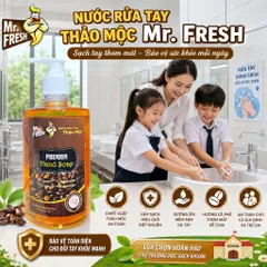 Nước rửa tay khử mùi Diệt khuẩn Mr.Fresh 500ml Hương Cam Quế