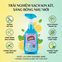 🪟 NƯỚC LAU KÍNH GOLDEN KING HƯƠNG BẠC HÀ CHANH – KÍNH SÁNG BÓNG, KHÔNG VẾT SỌC ✨