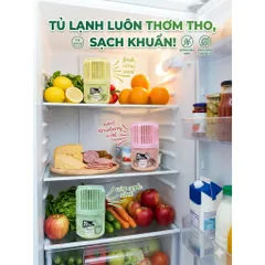 SÁP KHỬ MÙI TỦ LẠNH MR. FRESH 150G - GIẢI PHÁP THÔNG MINH CHO GIAN BẾP HIỆN ĐẠI