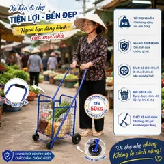 🛒 XE KÉO ĐI CHỢ TẢI TRỌNG 25KG – TIỆN LỢI, BỀN ĐẸP, DỄ DI CHUYỂN