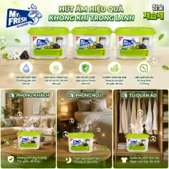 🌿BỘ 3 HỘP HÚT ẨM MR. FRESH – THAN HOẠT TÍNH | GIẢI PHÁP HÚT ẨM, KHỬ MÙI CHO KHÔNG GIAN SỐNG