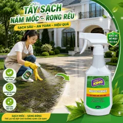 🟢 GOLDEN KING MOSS CLEANER 500ML – TẨY RONG RÊU, NẤM MỐC HIỆU QUẢ