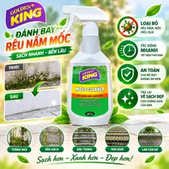 🟢 GOLDEN KING MOSS CLEANER 500ML – TẨY RONG RÊU, NẤM MỐC HIỆU QUẢ