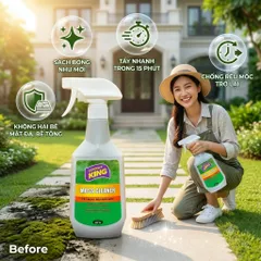 🟢 GOLDEN KING MOSS CLEANER 500ML – TẨY RONG RÊU, NẤM MỐC HIỆU QUẢ