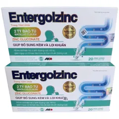 Men vi sinh Entergolzinc Akopha (Hộp 20 ống) Giúp bổ sung kẽm và lợi khuẩn hỗ trợ cải thiện hệ vi sinh đường ruột.