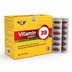 Viên uống Vitamin 3B Euzofa (Hộp 100 viên) Hỗ trợ cải thiện tình trạng suy nhược, mệt mỏi do làm việc căng thẳng