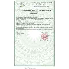 Viên uống Kim Tiền Thảo Râu Mèo DHG Pharma (Chai 100 viên) Hỗ trợ giúp lợi tiểu và đào thải cặn sỏi ra khỏi cơ thể.